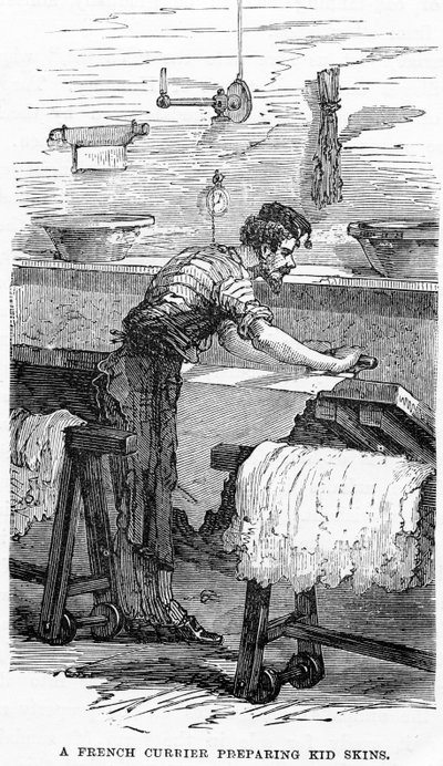 A French Currier Preparing Kid Skins by English School